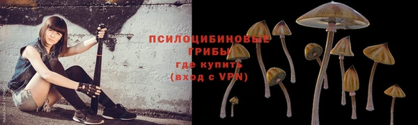 соль ск Абинск