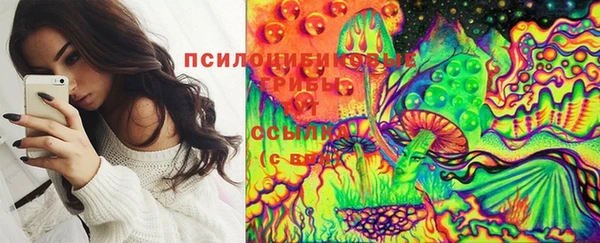 соль ск Абинск