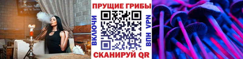 omg зеркало  Сусуман  Галлюциногенные грибы Magic Shrooms 